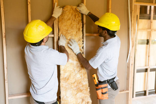 Best Garage Insulation Installation  in Weston Lakes, TX